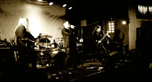 Rhayn Jooste performing live